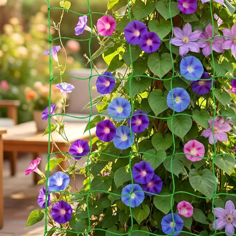 πΏβ¨ Plant Climbing Net β Let Your Vines Grow Strong & Thriving!
