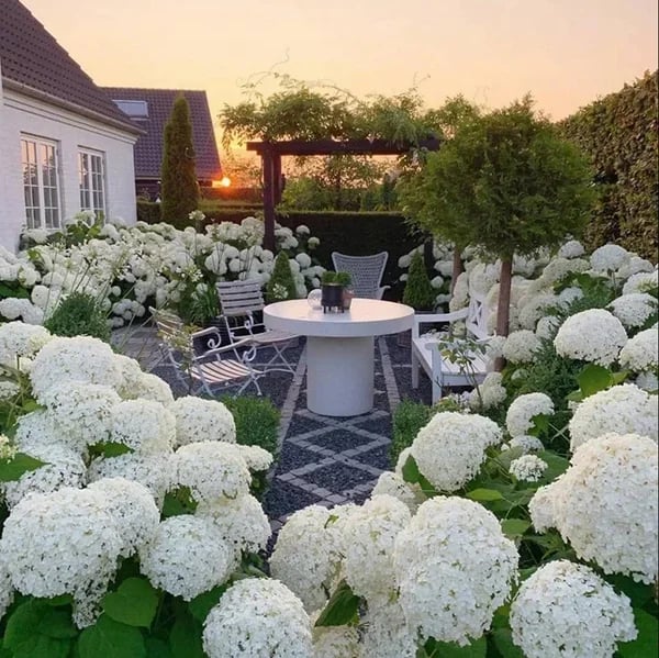 ✨This Week's Special Price $8.85💥Outdoor Artificial Hydrangea Flowers💐