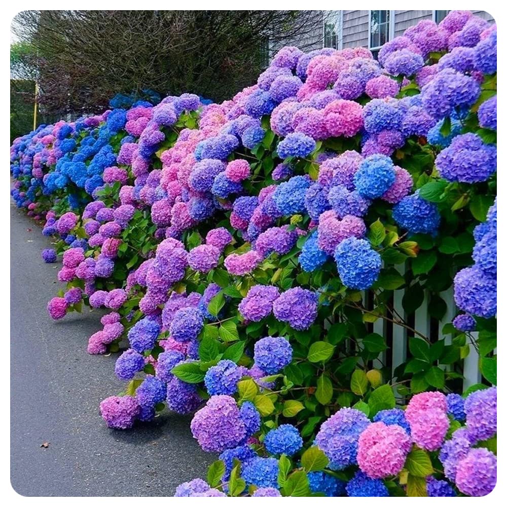 ✨This Week's Special Price $8.85💥Outdoor Artificial Hydrangea Flowers💐