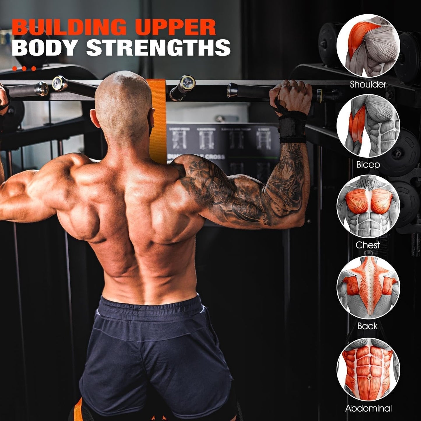 Heavy-Duty Pull Up Workout Band