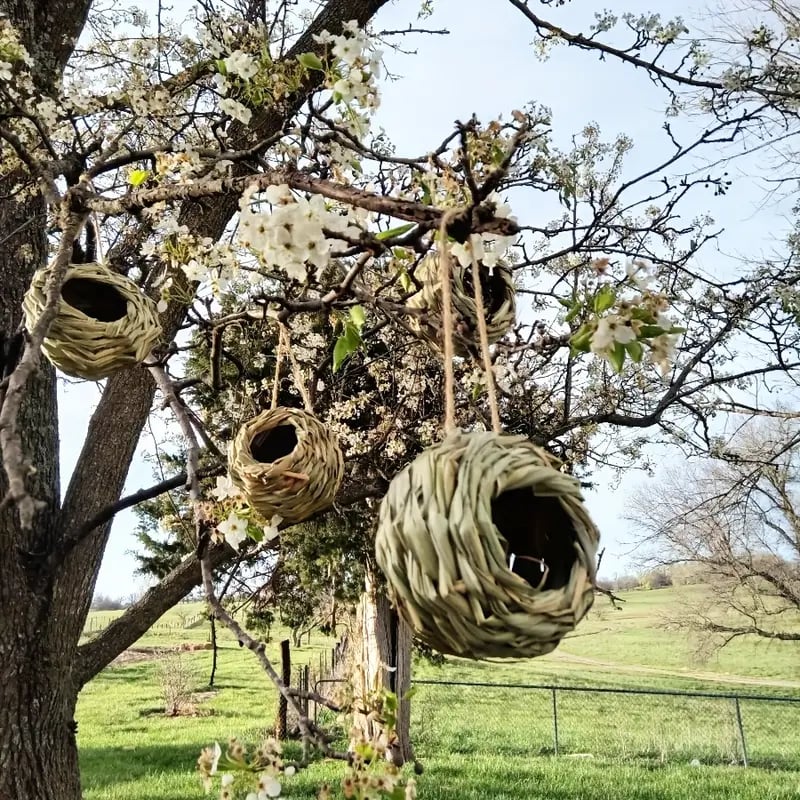 🐦Hummingbird Nest House