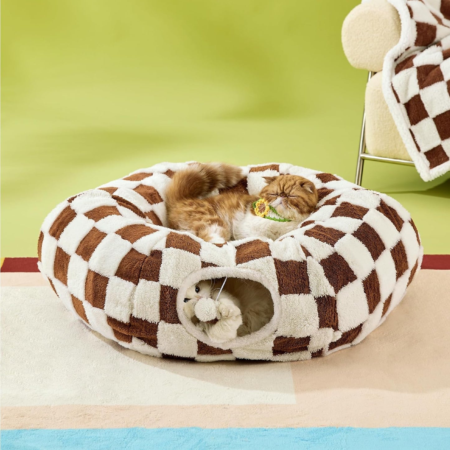 🔥Lesure Cat Tunnel Bed for Indoor Cats✨