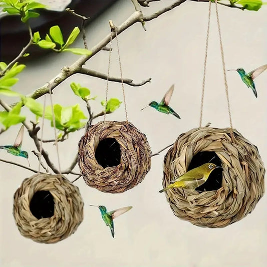 🐦Hummingbird Nest House