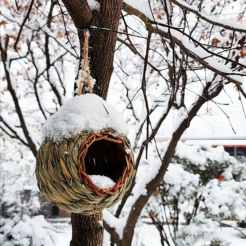 🐦Hummingbird Nest House