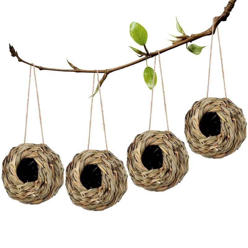 🐦Hummingbird Nest House