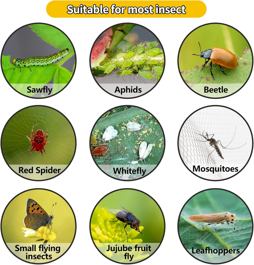 🔥🚫Giant Fly Glue Trap
