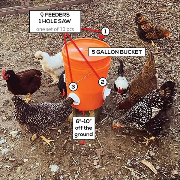 🔥 DIY Chicken Feeder