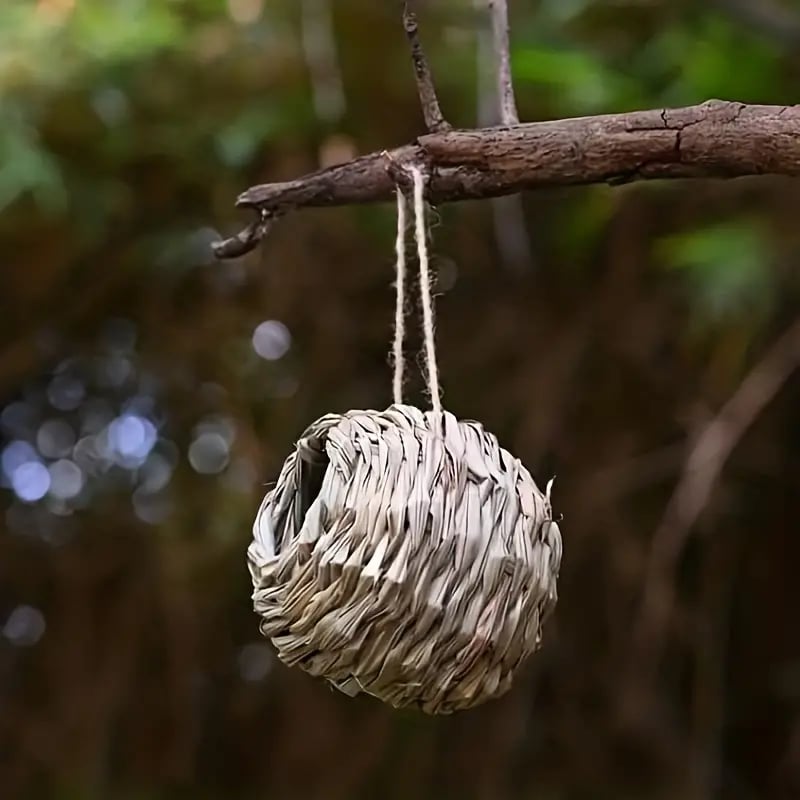 🐦Hummingbird Nest House