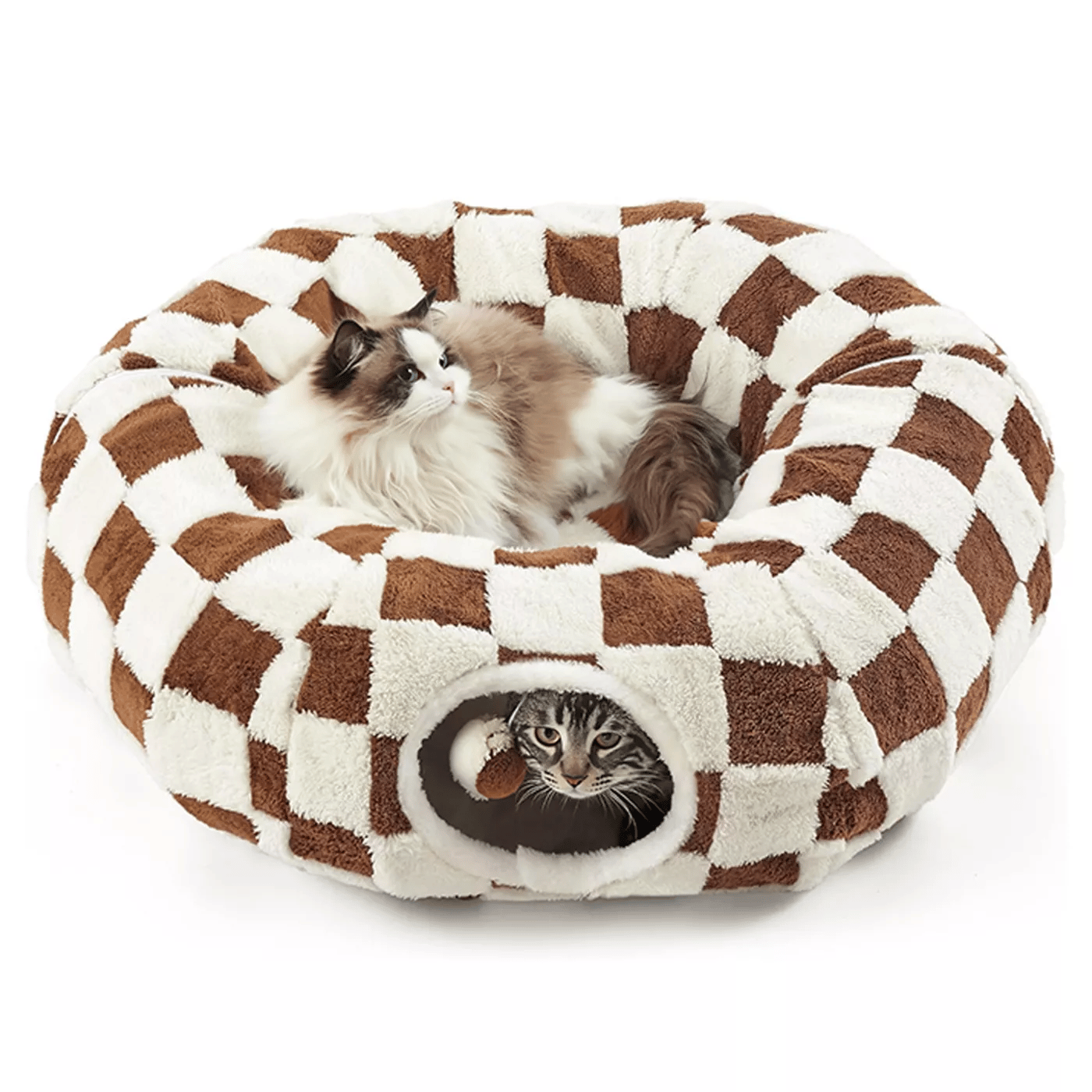🔥Lesure Cat Tunnel Bed for Indoor Cats✨