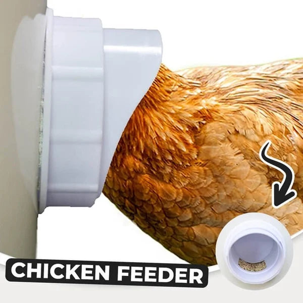 🔥 DIY Chicken Feeder