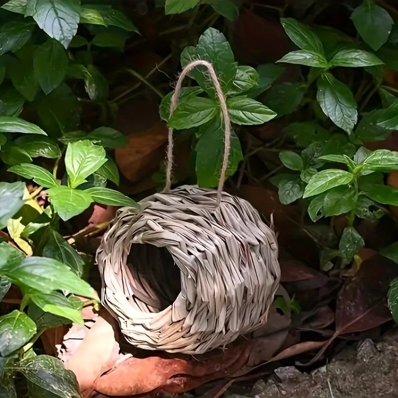 🐦Hummingbird Nest House