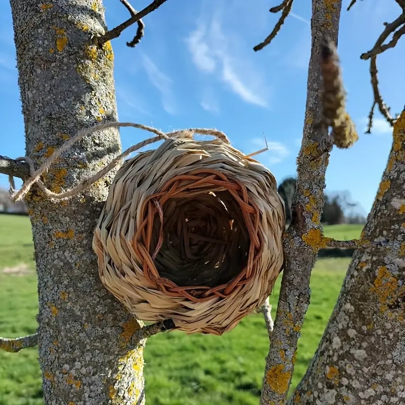 🐦Hummingbird Nest House