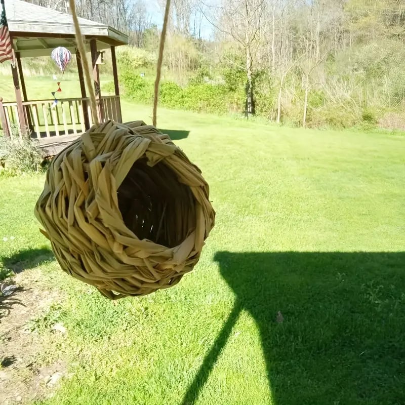 🐦Hummingbird Nest House
