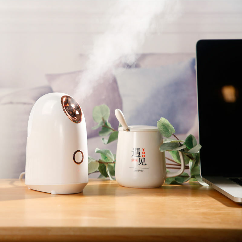 ⏰Deep Clean Mist Face Sprayer🎭♨️